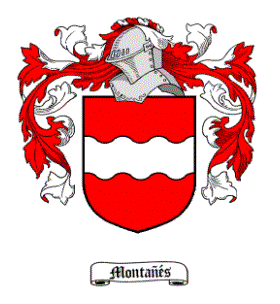 Armas de un linaje Montañés de Aragón